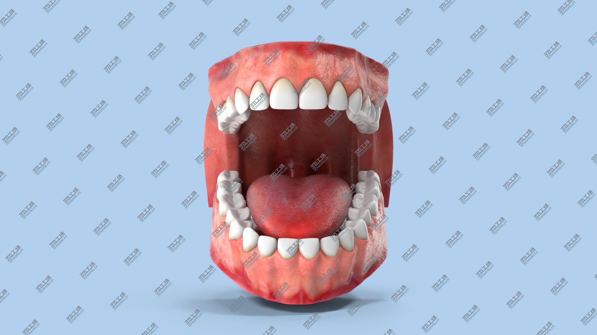 images/goods_img/20210313/Teeth and Gums/3.jpg